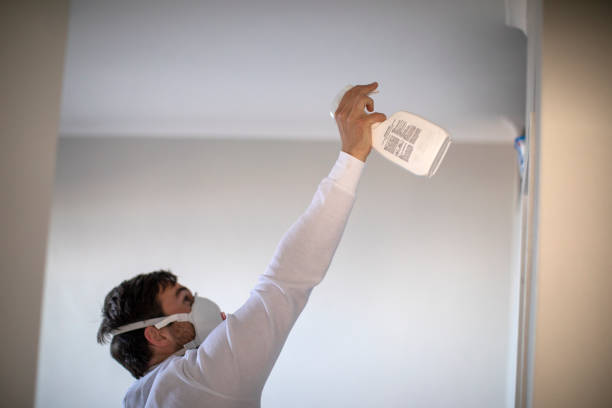 Best Mold Remediation  in Dryden, MI