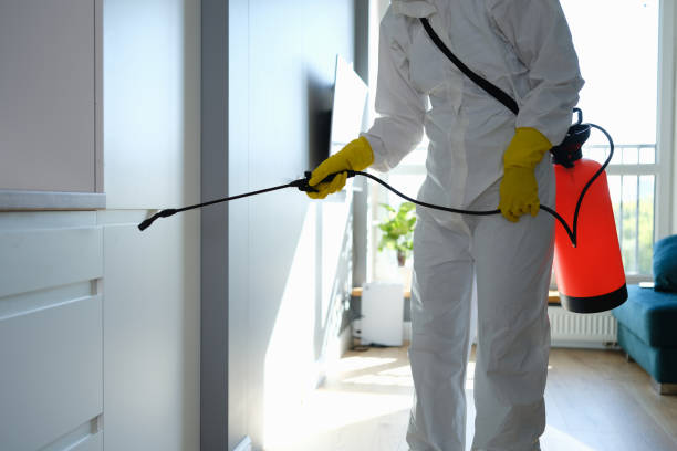 Best Commercial Mold Removal  in Dryden, MI