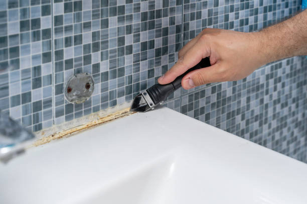 Certified Mold Removal in Dryden, MI